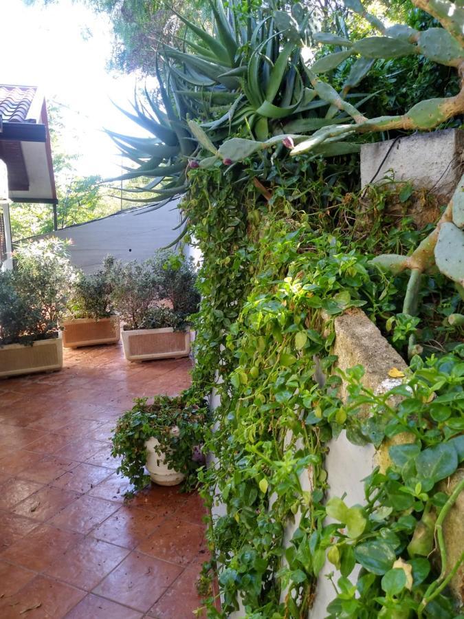 Tramonto Blu Apartman Palermo Kültér fotó